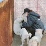 이번 연말 유기<b>동물</b> 봉사하면서 따뜻함을 나눠요~