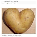 [추억팔아요] 강원도 <b>청년</b>들이 사랑고백 하는 방법