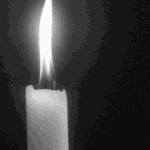 <b>자자</b>