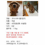 가족을찾습니다