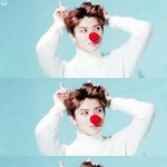 [EXO] 야 공식응원봉 못산애들없냐
