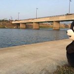 [방탄소년단] 아미들 신나라 1표 남았어!!(신나라 투표하자)