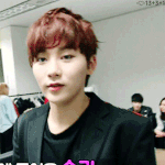 [세븐틴] 근데 진짜 승관이랑 뿌요랑 <b>이미지</b> 너무 잘 맞아
