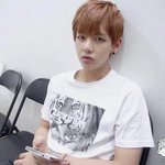 [방탄소년단] 뜬금인데<b>회사</b>에서태형이좀특별했나봄