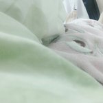흔한집<b>수니</b>의주말.jpg