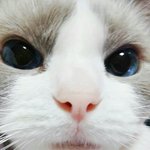 [EXO] 이그<b>조사</b>랑해