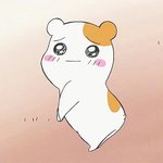 [세븐틴] 오늘 <b>내용</b>이..