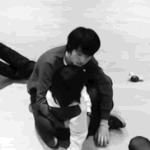 [세븐틴] 혹시 움짤 하나 올려도 될까요