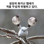 [방탄소년단] ~~~~~총공12분<b>전이</b>라전해라~~~~~