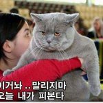 [인피니트] 아 죽이고 싶다ㅋㅋㅋㅋ