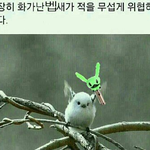 [BAP] 지금