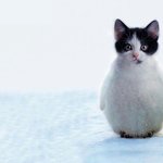 [EXO] 난 소시 <b>you</b> think 가좋은데