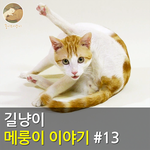 [메룽이<b>집사</b>] 길냥이 메룽이 이야기 #13