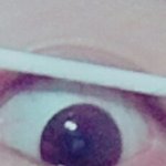 혹시 이거 되는 애들 있냐