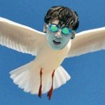 [방탄소년단] 전<b>씨</b>걸 