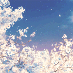 [동성] (동성)<b>철부지</b> 마지막이야기