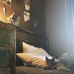 [드루와] 방 마저 <b>슬리</b>데린스러운 남태현 방 ㅋㅋㅋ