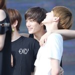 [EXO] 청순한 세<b>종이</b>들