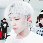 [세븐틴] 권순영 닮은 <b>동물</b>