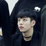 [BAP] <b>대현</b>이얼굴에 강아지하고 고양이가 둘다있어ㅠㅠㅠ치명적이다