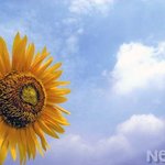 매력있는 사람이 되는 10가지 방법