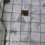 안<b>마방</b>갔다가 인생마감할뻔했다....(사진포함)