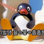 [조언부탁해] 고민좀 들어주세요ㅜㅜ 예비중 입니다..