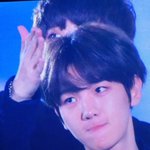 [EXO] 백현님 성스러운 꾹꾹이 <b>자태</b> 보고가셈