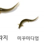 <b>콧등</b>에 핸펀떨굼
