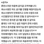 [세븐틴] 준<b>라쿤</b> 총대 할수있는분.......