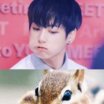 [방탄소년단] 증극이 슴살