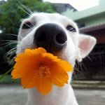 [드루와컴컴] 10대이야기 판 되살리면 안돼??????꼭 들어와방