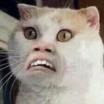 [방탄소년단] 방밤)호석이 <b>병</b>신년이라고<b>한</b>거..