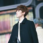 [세븐틴] 사담글 <b>자제</b>하자...
