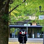 [방탄소년단] 나 미뉸기 때문에