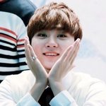[세븐틴] 눠....