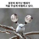 [방탄소년단] 뱁새이어폰으로 들으면서 들린것들 겁나웃곀ㅋㅋㅋㅋㅋ