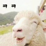 [EXO] 낚시 많이당해본<b>사람</b>은 <b>알</b>짤
