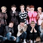 [세븐틴] 서가대랑 골디