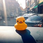 [방탄소년단] 얘들아 나 일코짤 누군지 알아왔어!