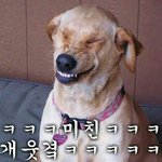 [드루와] <b>우왕</b> 베플 된 것 처음이야..