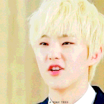 [세븐틴] <b>순영</b>이 이짤