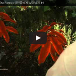[문신TV] 더 포레스트(The Forest) <b>식인종</b>에게 살아남기...