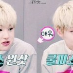 [세븐틴] ㅇㄱㄹ를 만나면