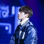 [세븐틴] 원우리즈