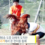 [EXO] 아 시발 도경수 개웃곀ㅋㅋㅋㅋㅋㅋㅋ