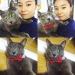 [고양이] 다른고양이도 이렇게앉아있나요?