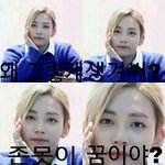 [세븐틴] 이런짤