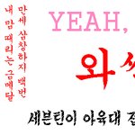 [세븐틴] 현수막 대충 만들어서 오겠다던 <b>쓰니임</b>