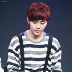 [<b>세븐틴</b>] 이거 사진 홈마님 누군지 아는사람ㅜㅜ